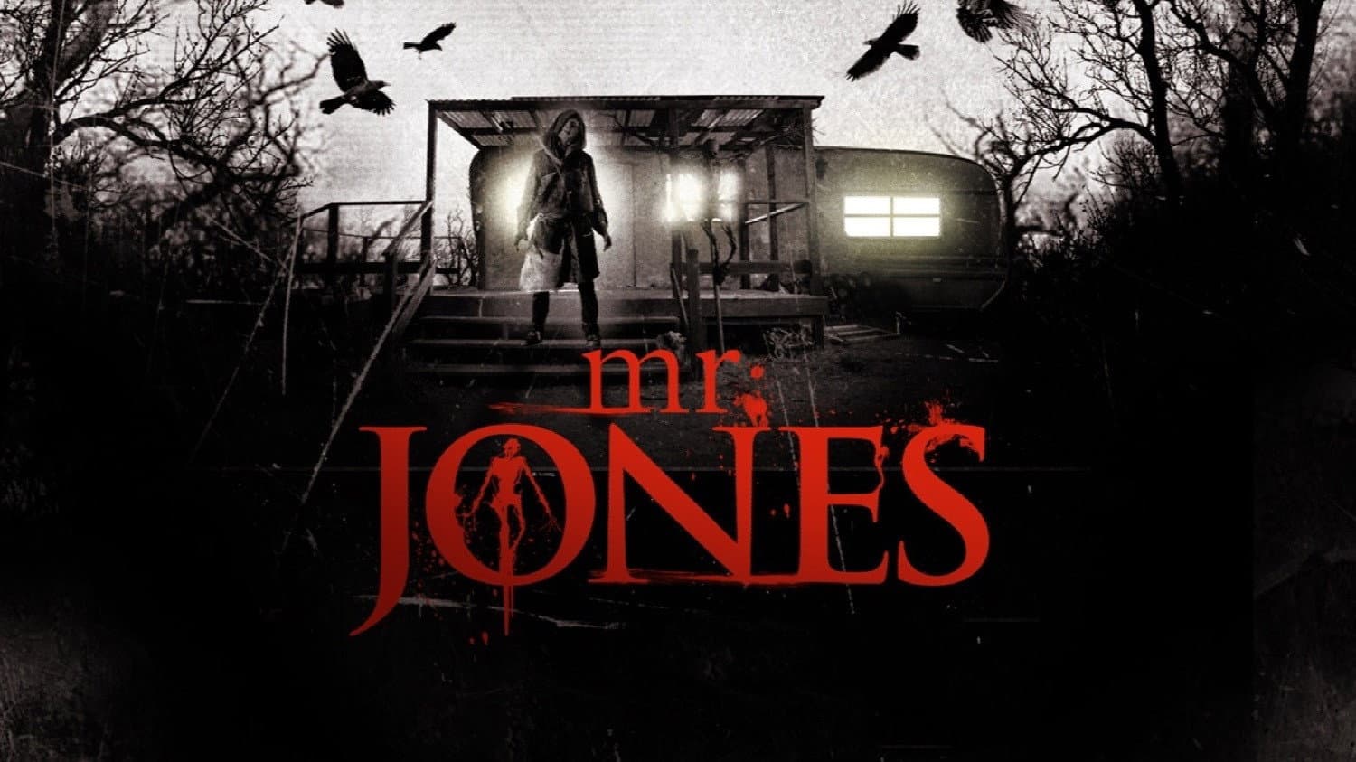 Mr. Jones - immagine