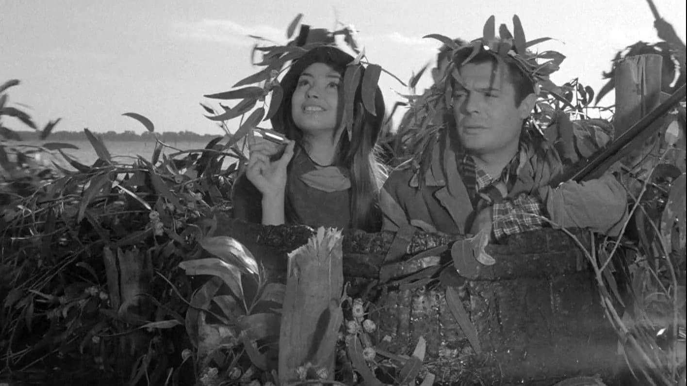Tutti innamorati - immagine