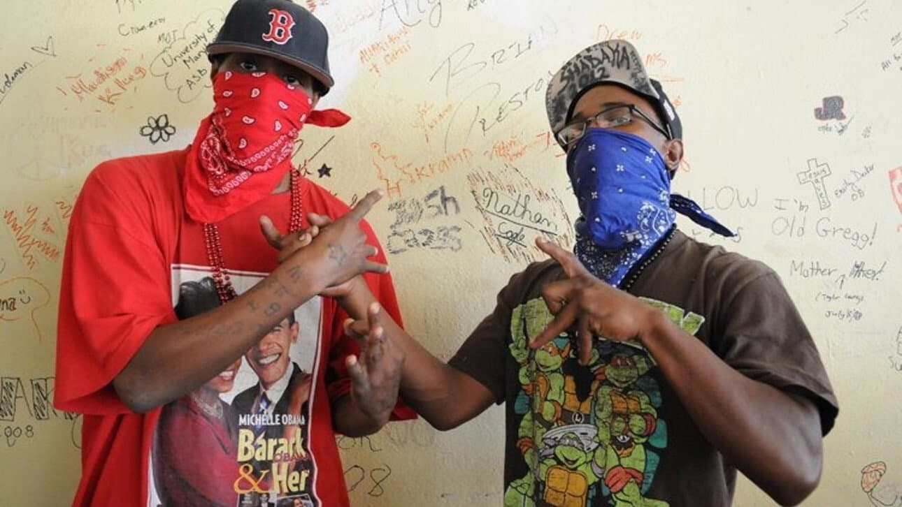 Crips and Bloods: Made in America - immagine