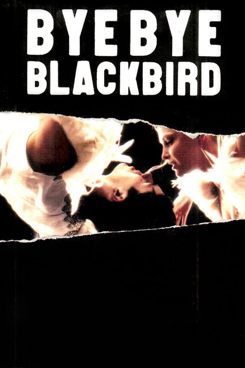 Poster di Bye Bye Blackbird