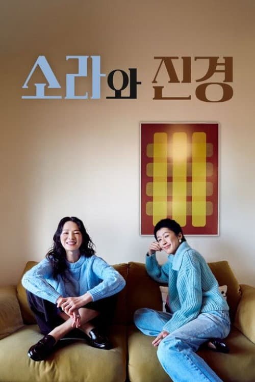 Poster di 소라와 진경