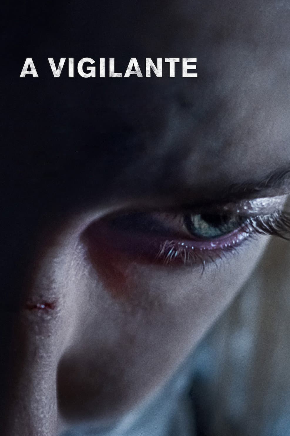 Poster di A Vigilante