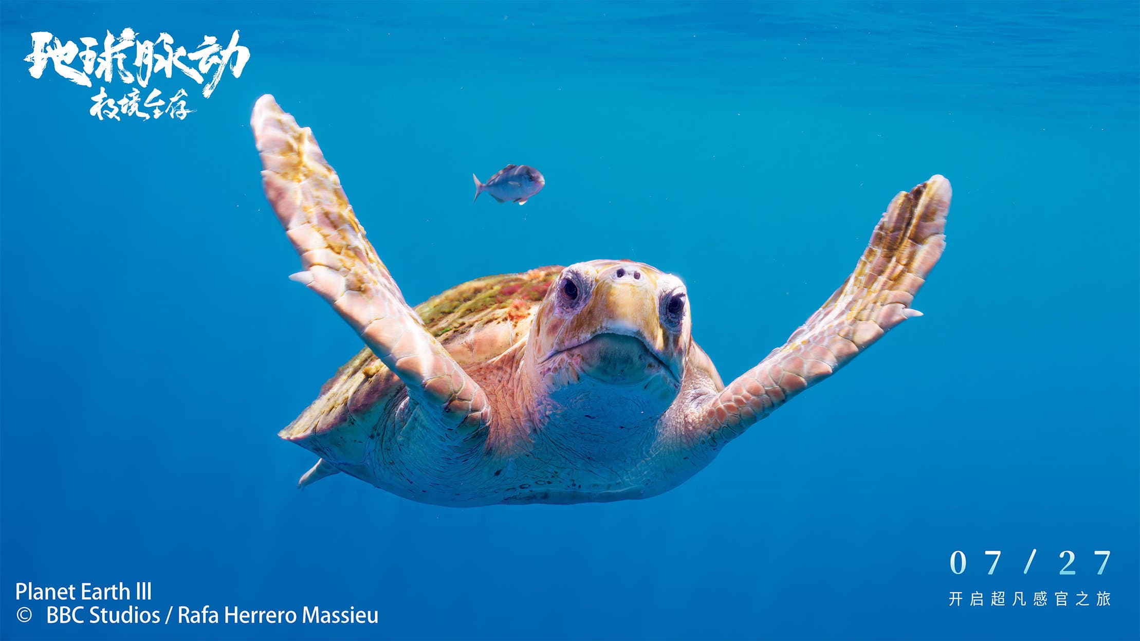 Planet Earth: Hostile Paradise or Perfect Hell? - immagine