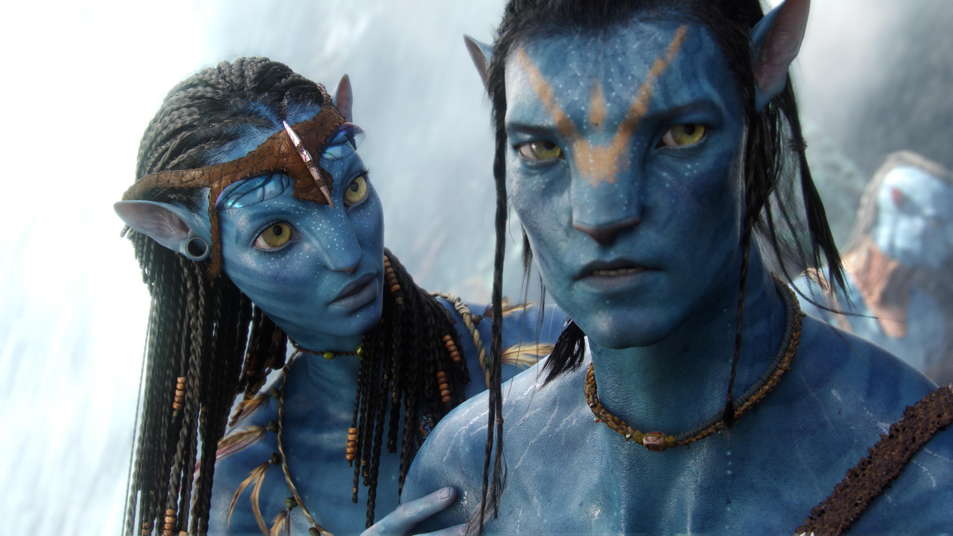 Capturing Avatar - immagine