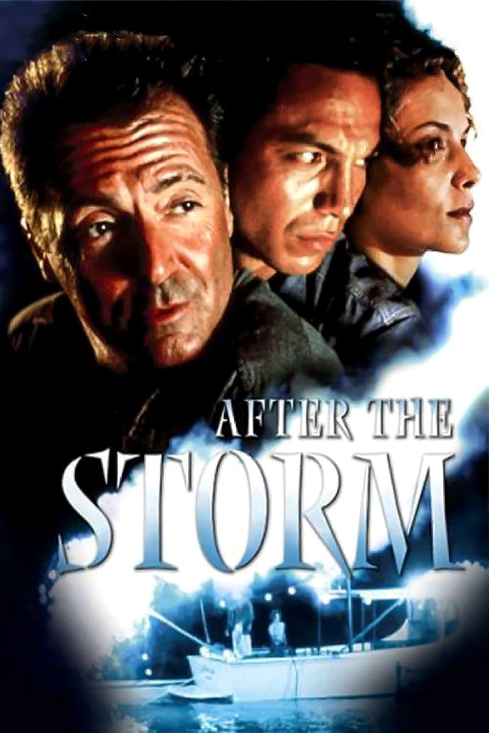 Poster di After the Storm