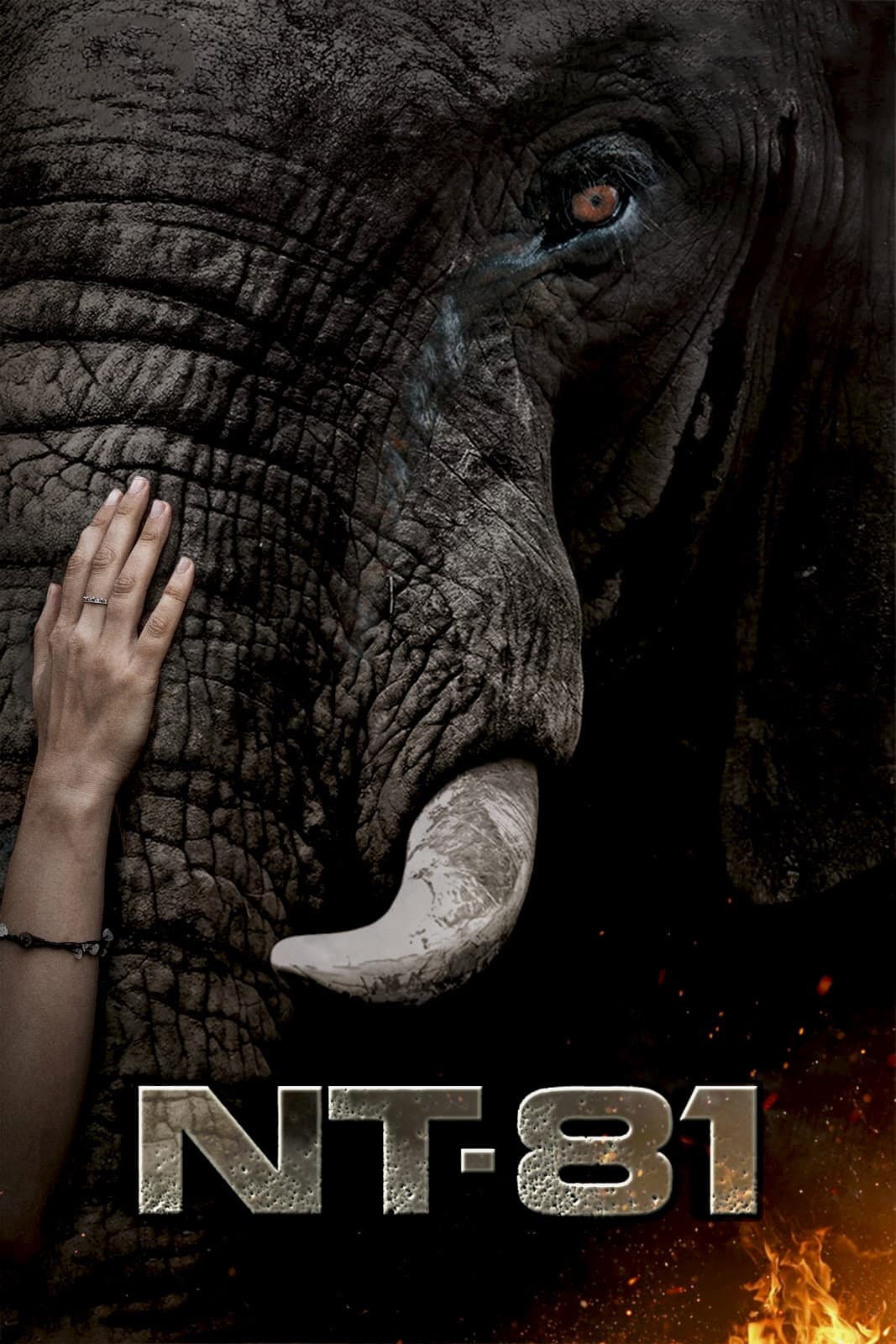 Poster di NT-81