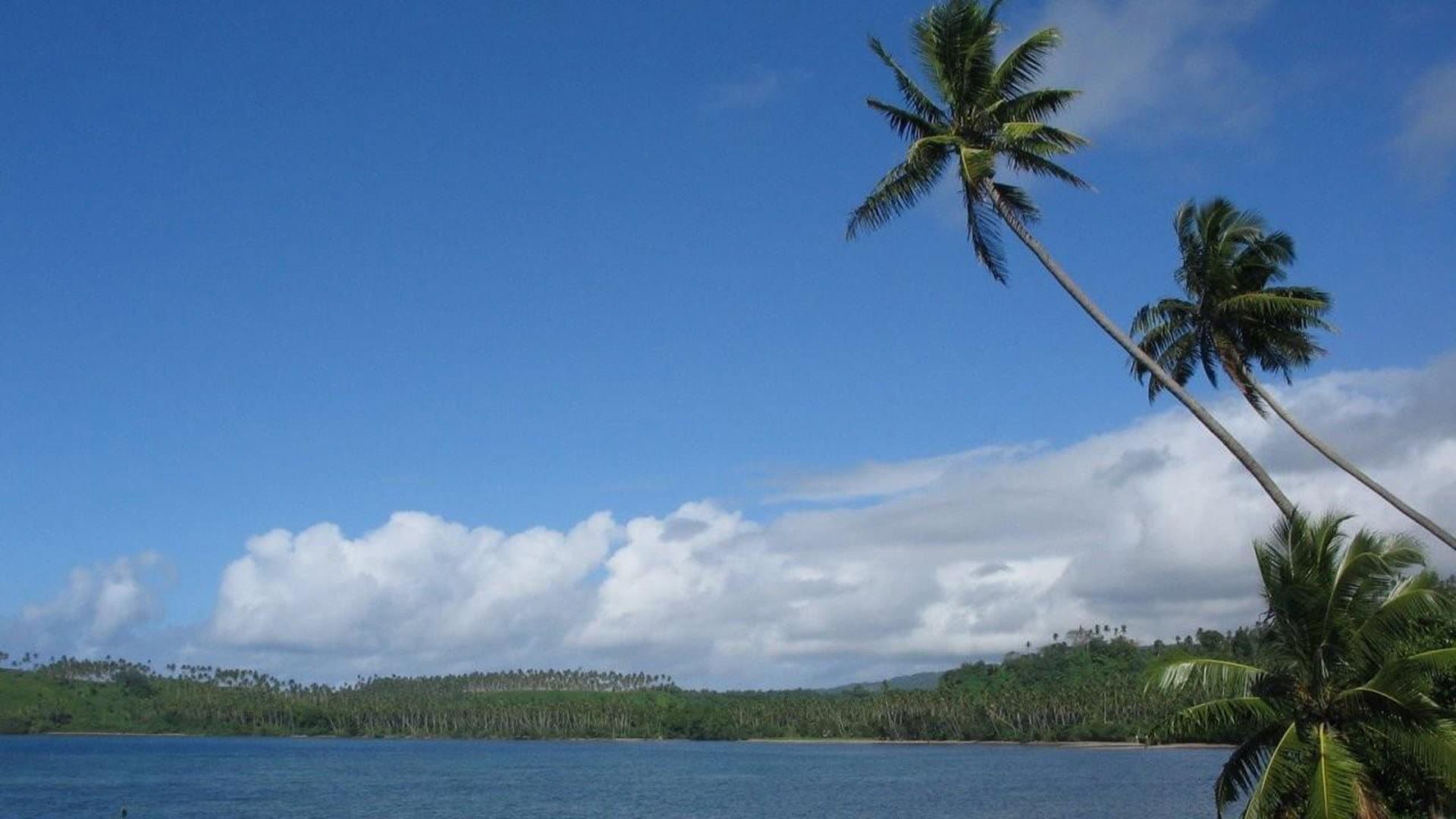 Ritorno alla laguna blu - immagine