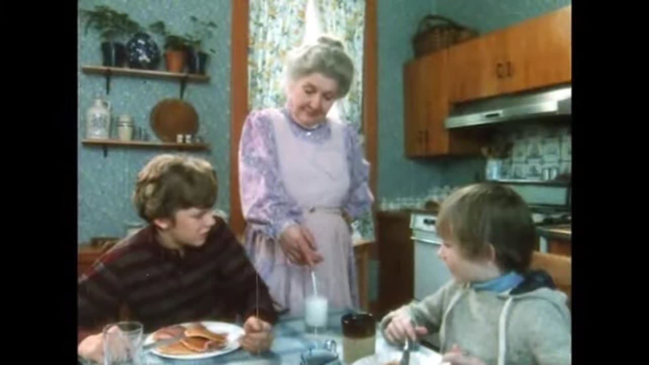 The Electric Grandmother - immagine