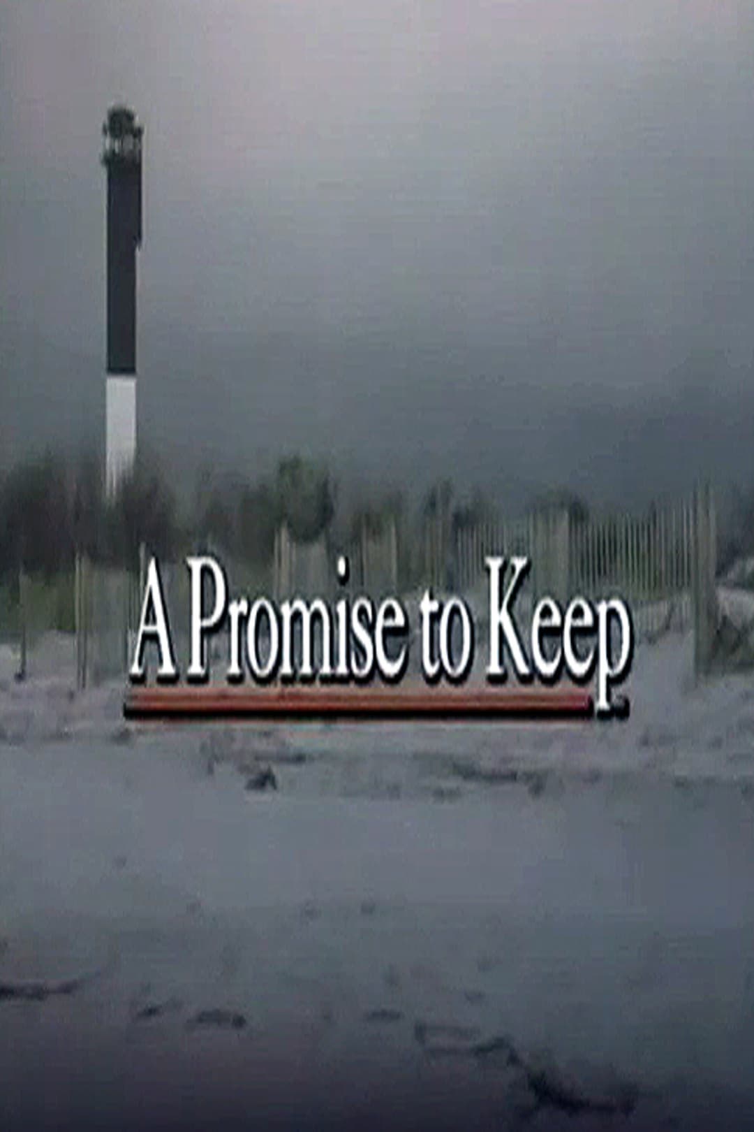 Poster di Promises to Keep