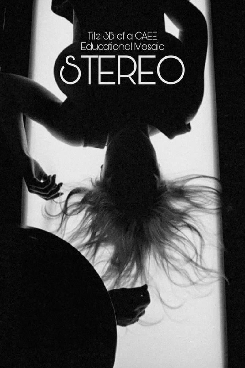 Poster di Stereo (Tile 3B of a CAEE Educational Mosaic)