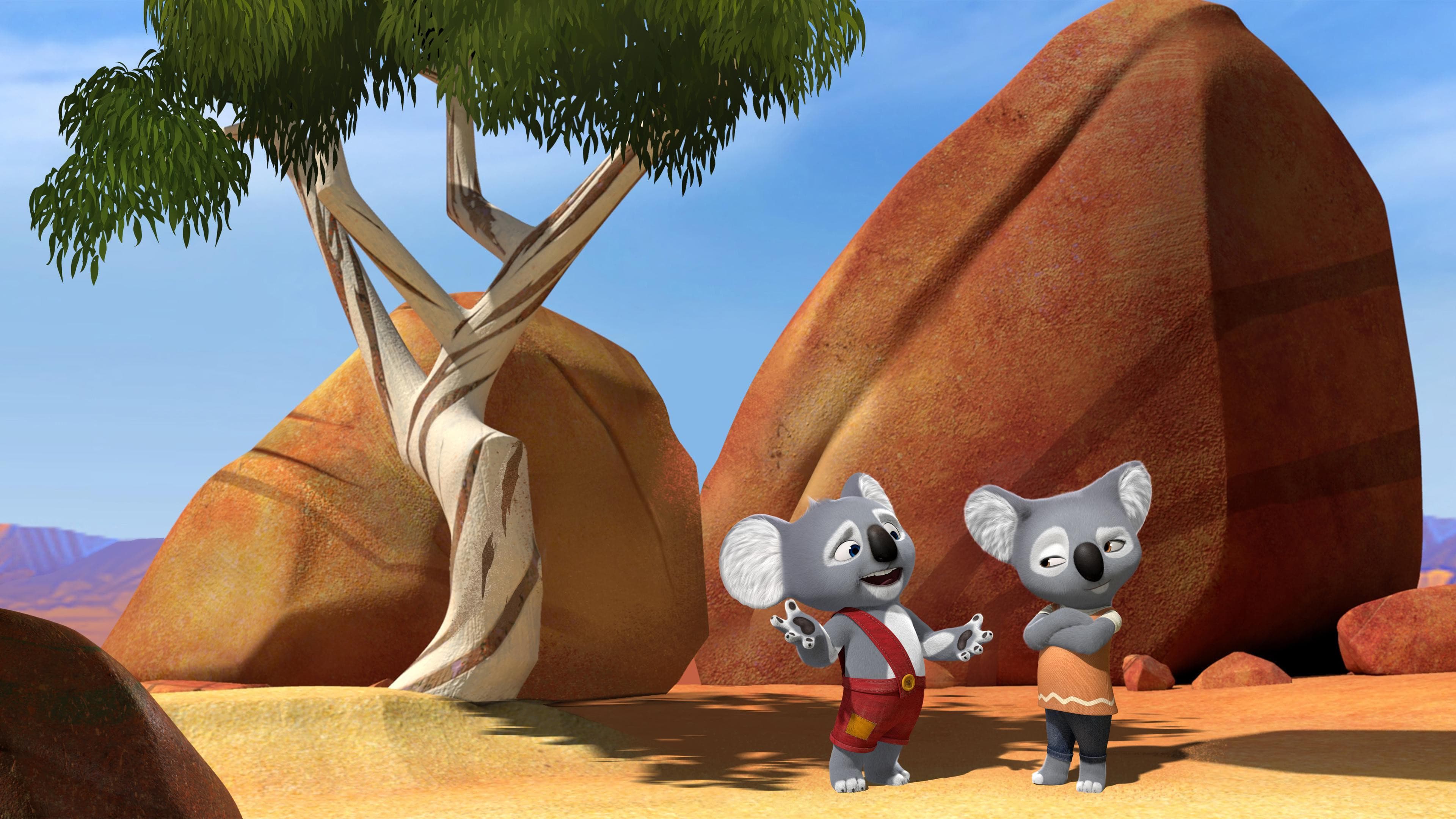 Billy il koala - immagine