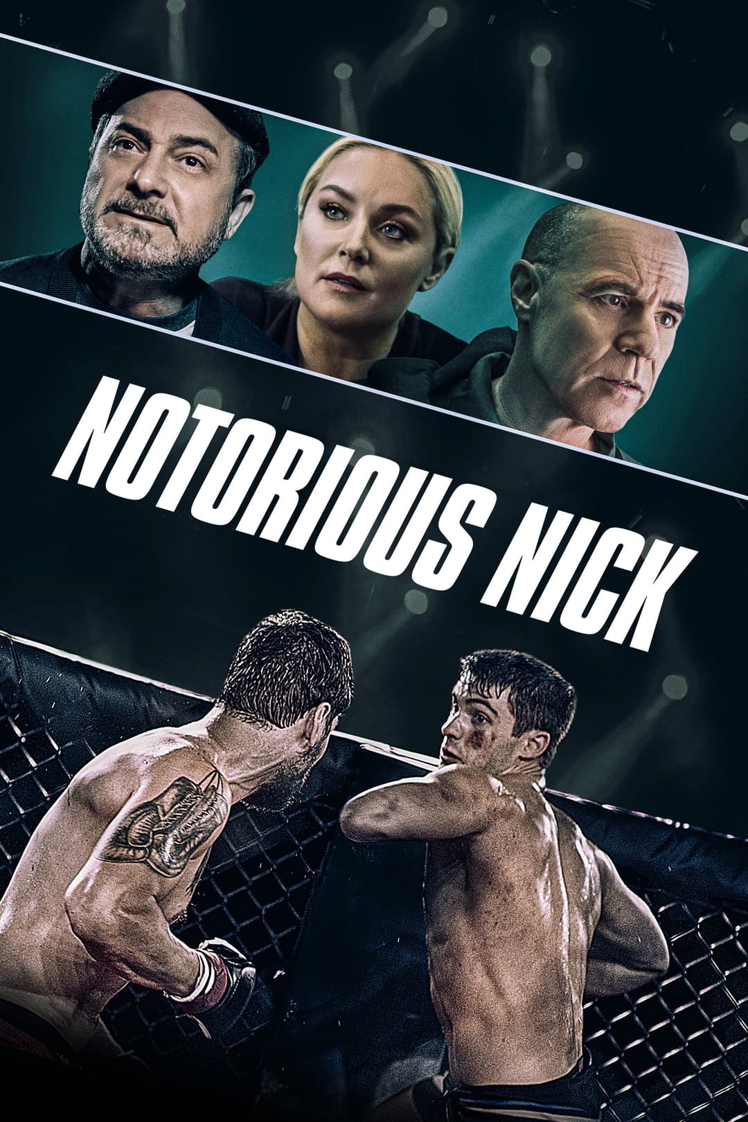 Poster di Notorious Nick