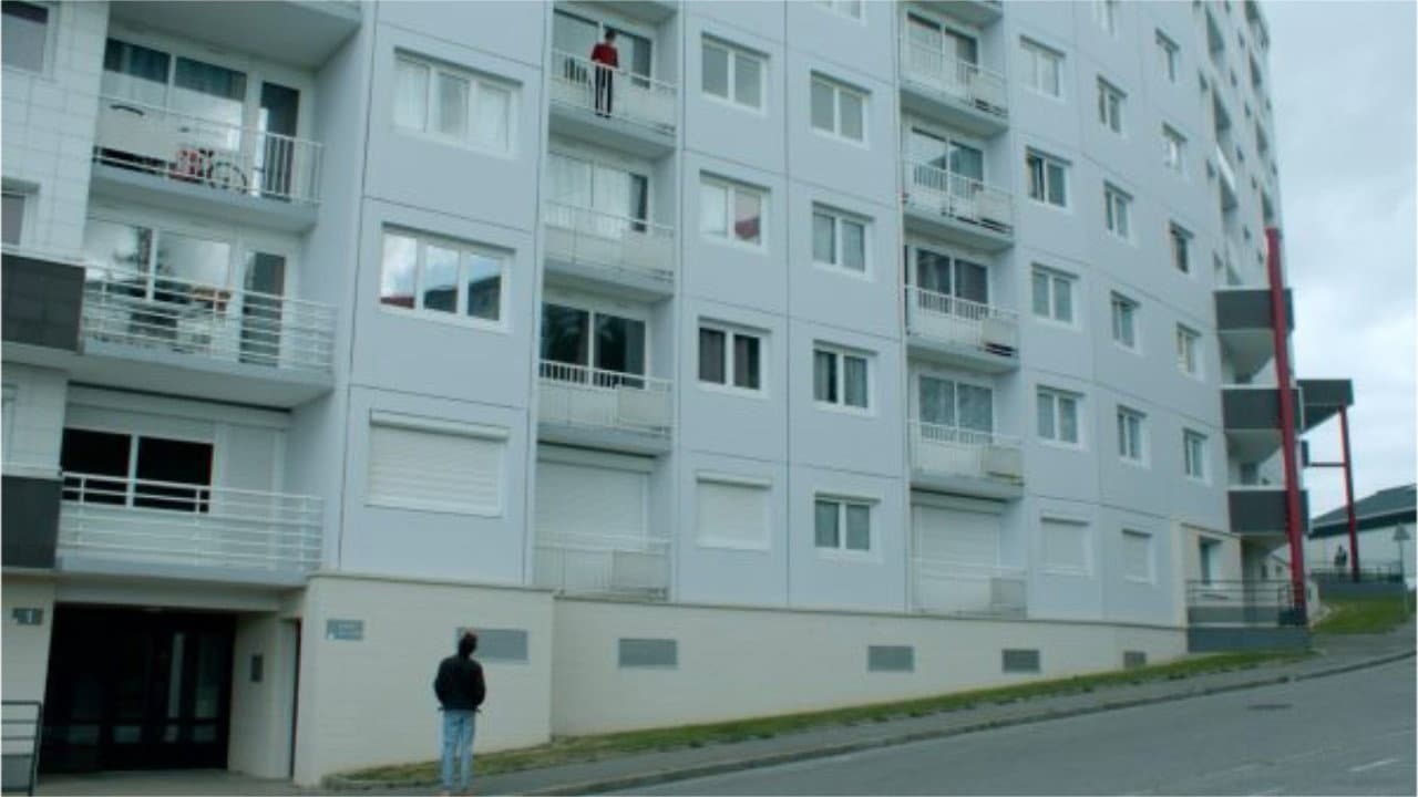 Permanent Green Light - immagine