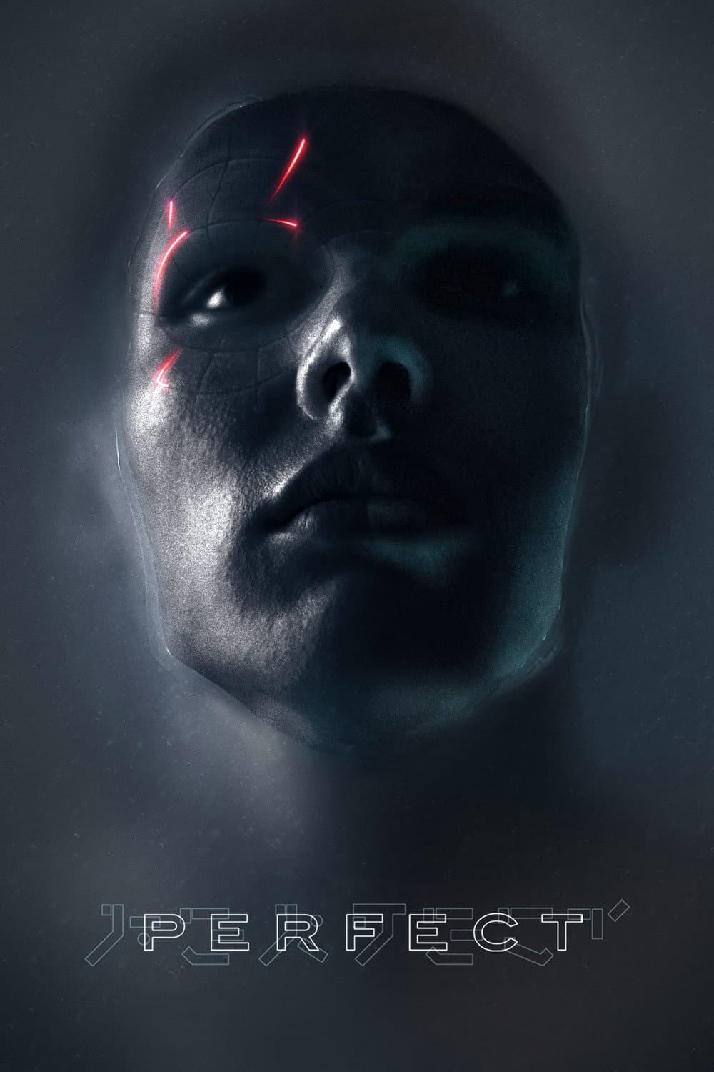 Poster di Perfect