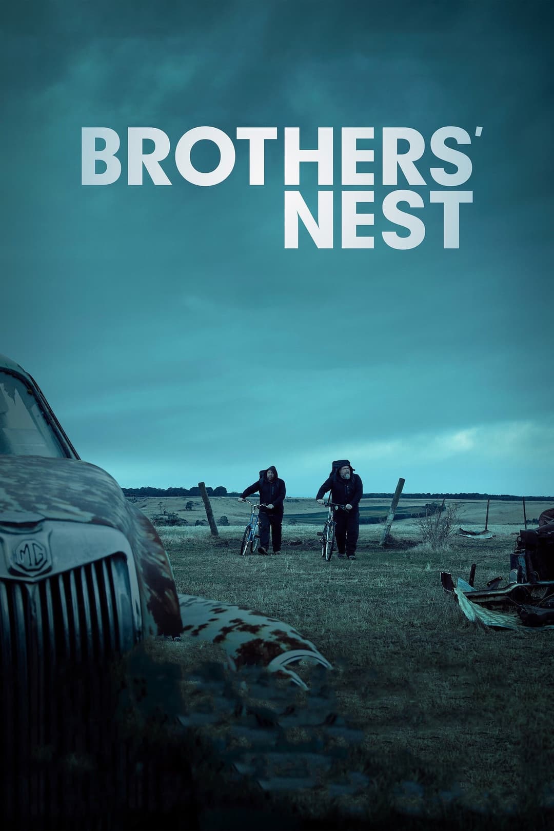 Poster di Brothers' Nest