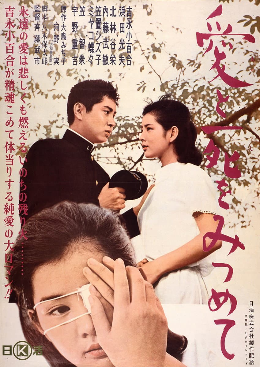 Poster di 愛と死をみつめて