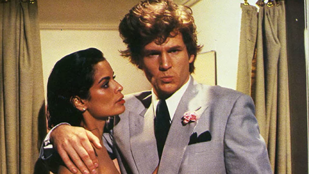 The American Success Company - immagine