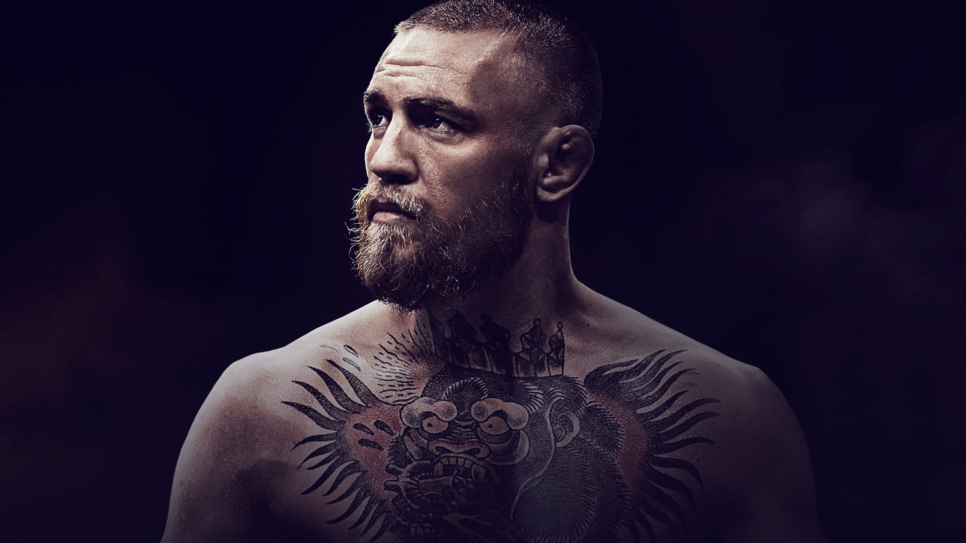 Conor McGregor: Notorious - immagine
