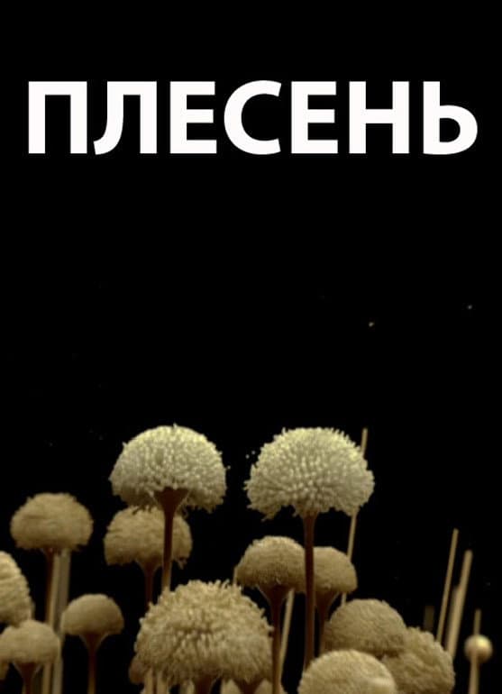 Poster di Плесень