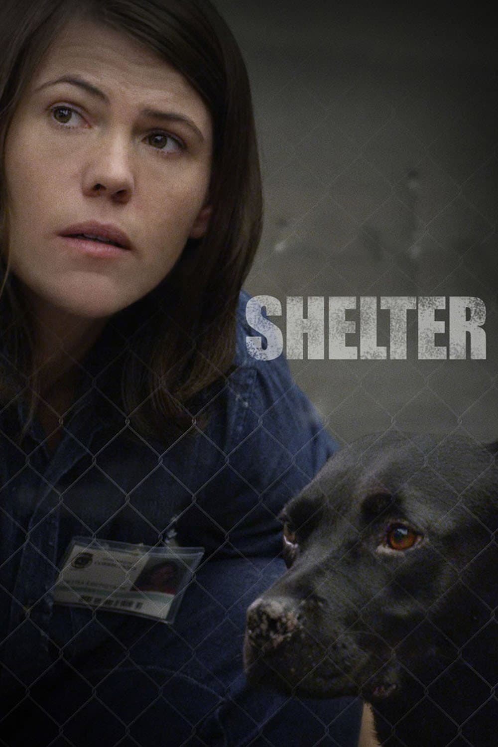 Poster di Shelter