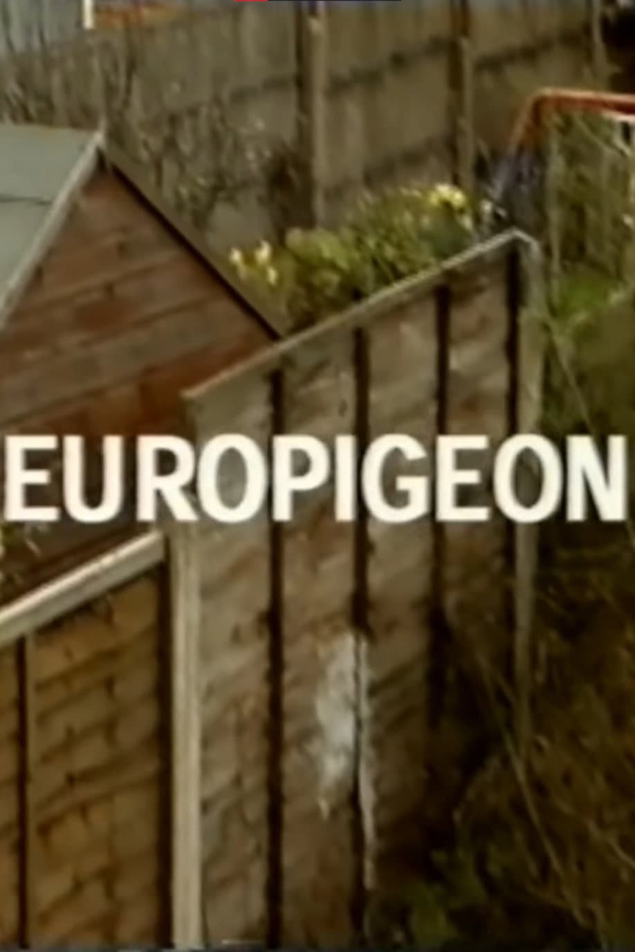 Poster di Europigeon