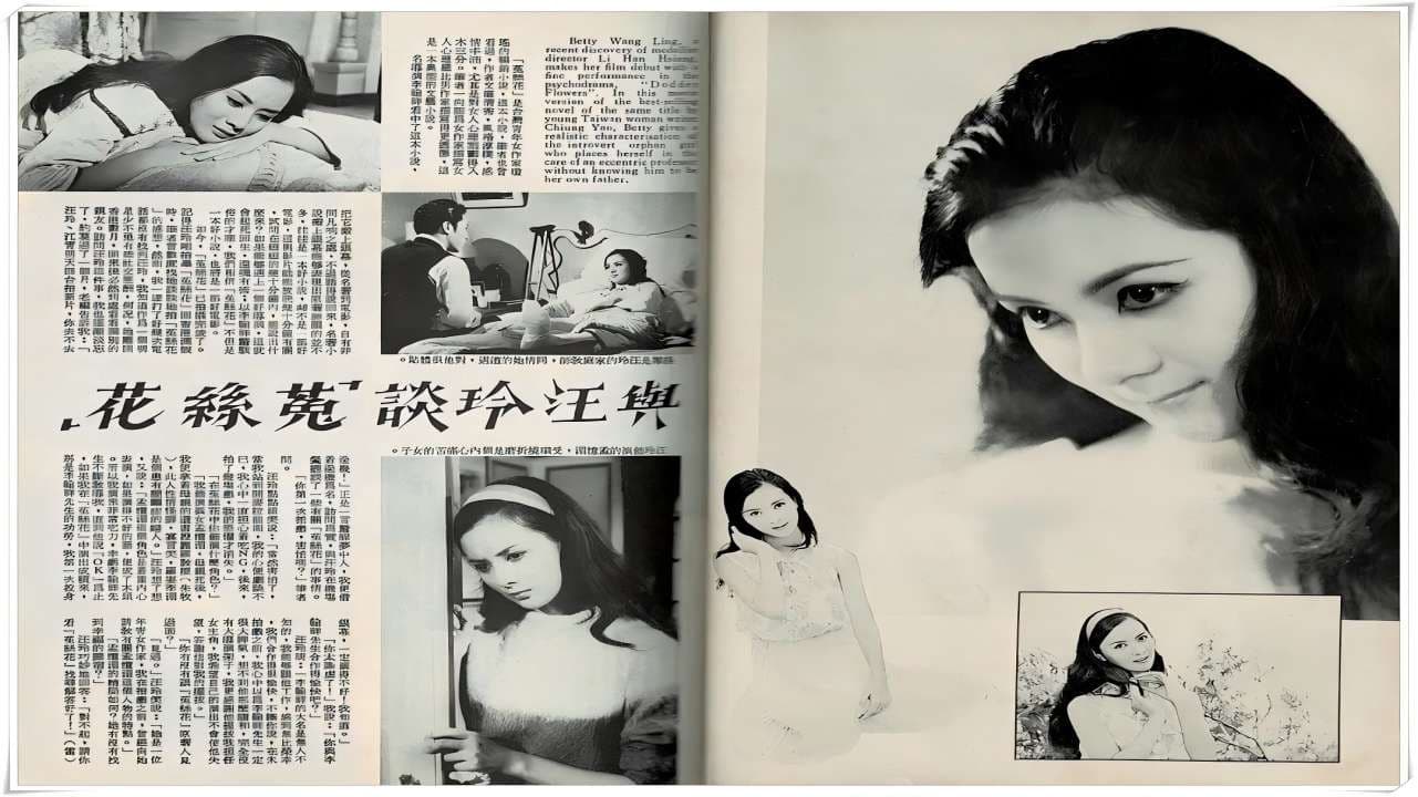 菟丝花 - immagine