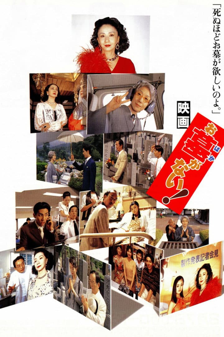 Poster di お墓がない!