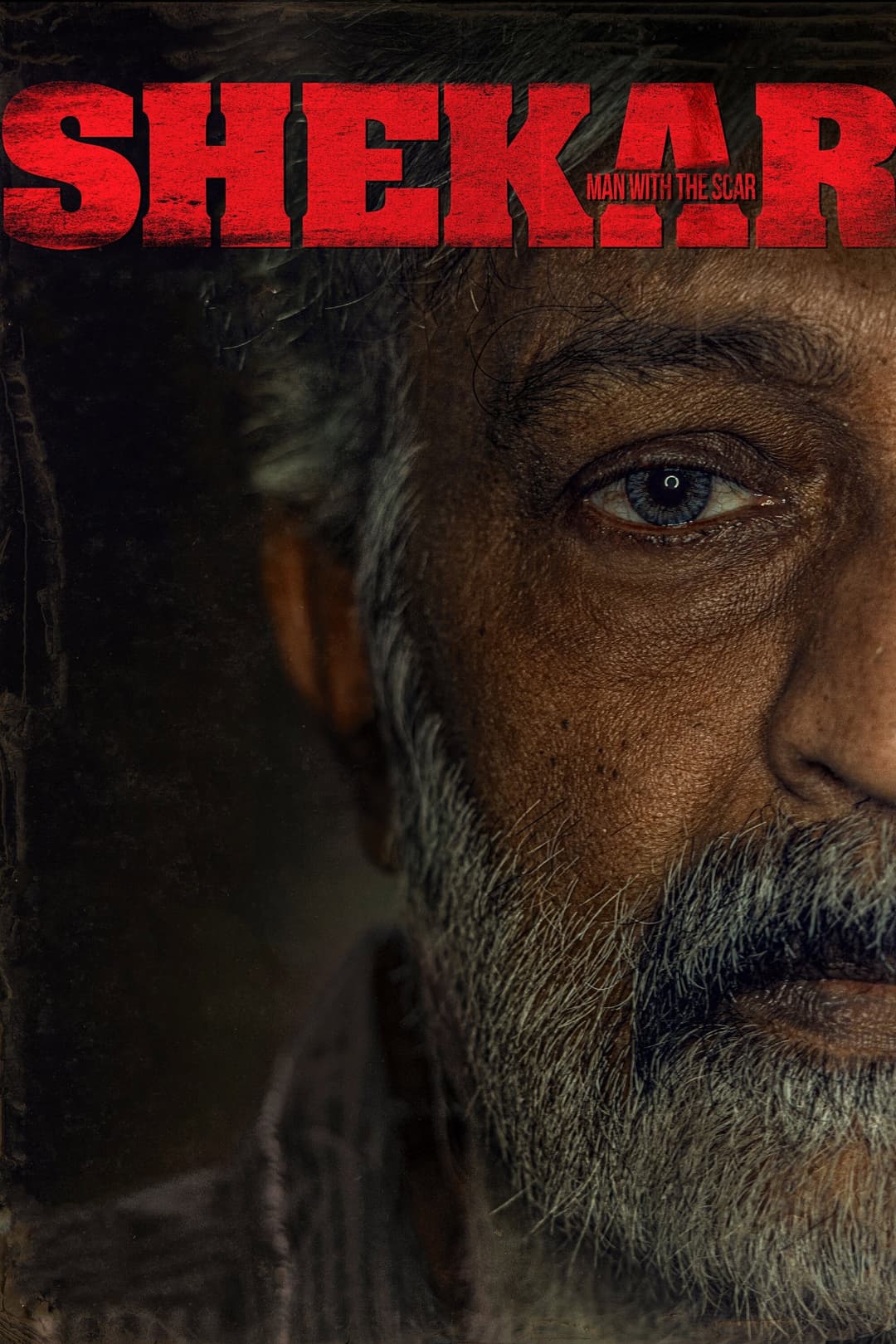 Poster di శేఖర్