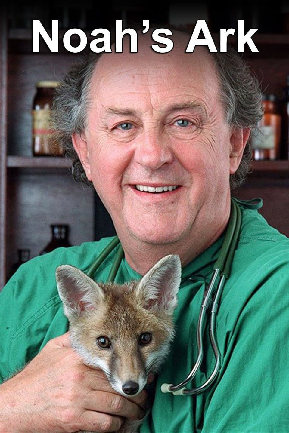 Poster di Noah's Ark