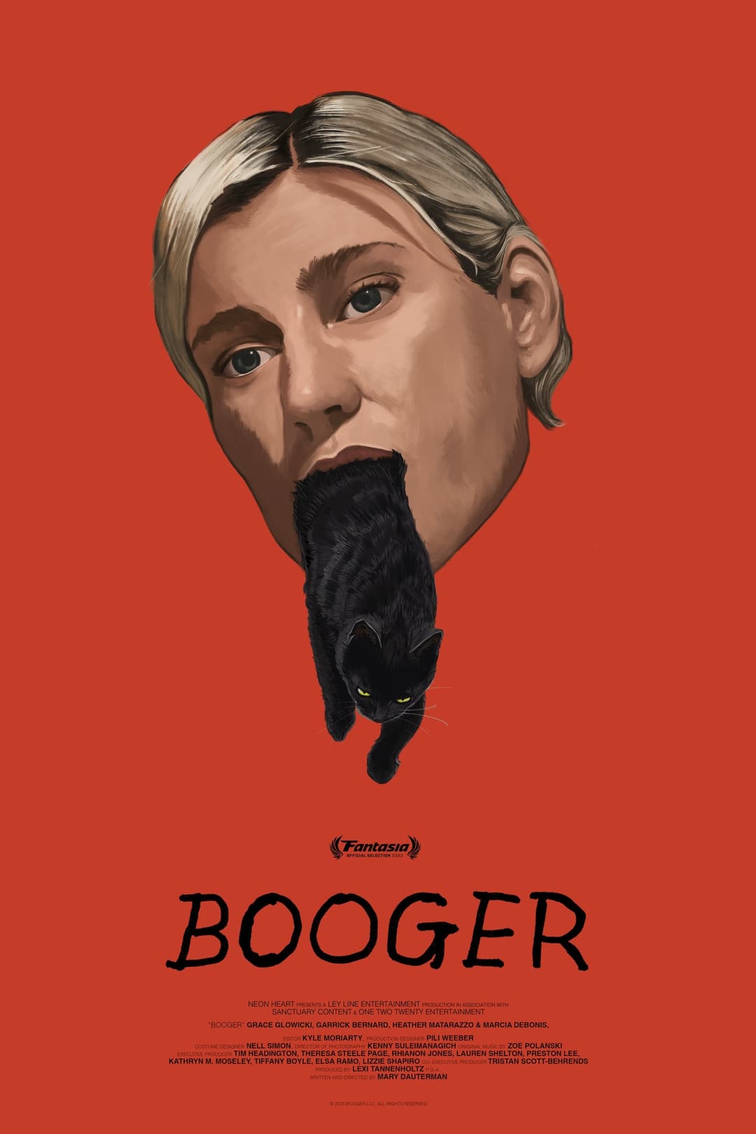 Poster di Booger