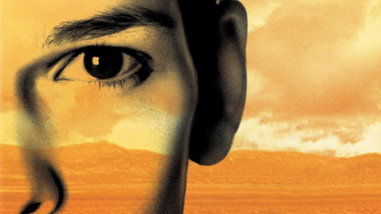 Boys Don't Cry - immagine