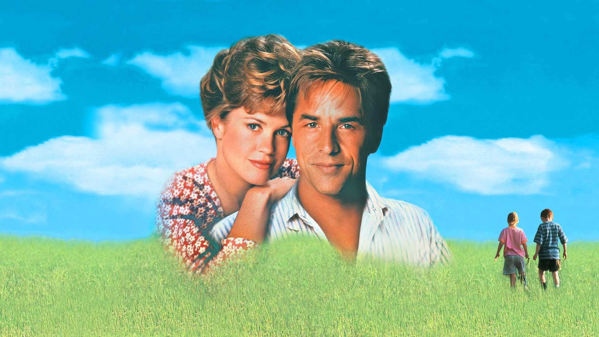 La strada per il paradiso - immagine