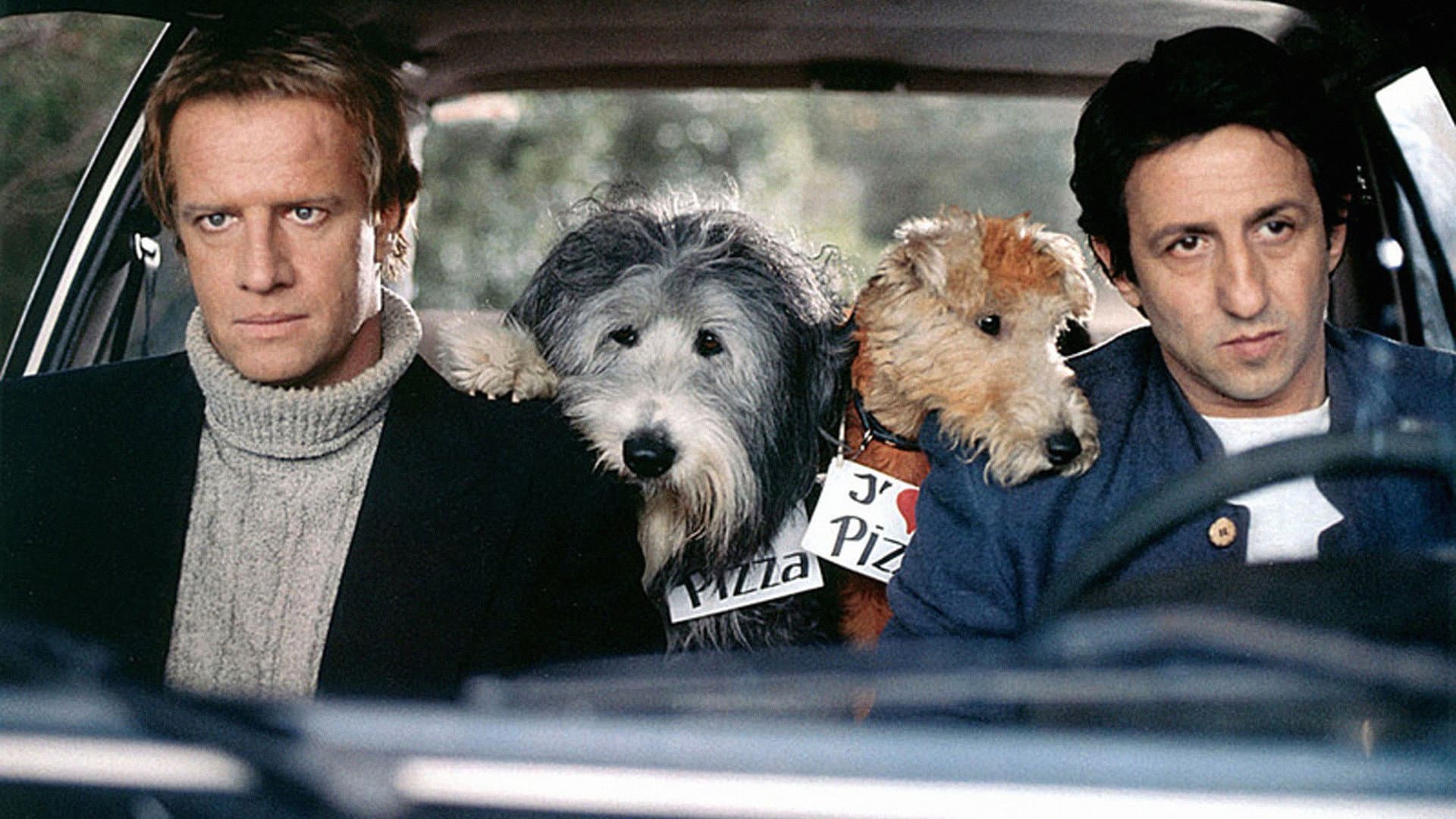 Hercule & Sherlock - immagine