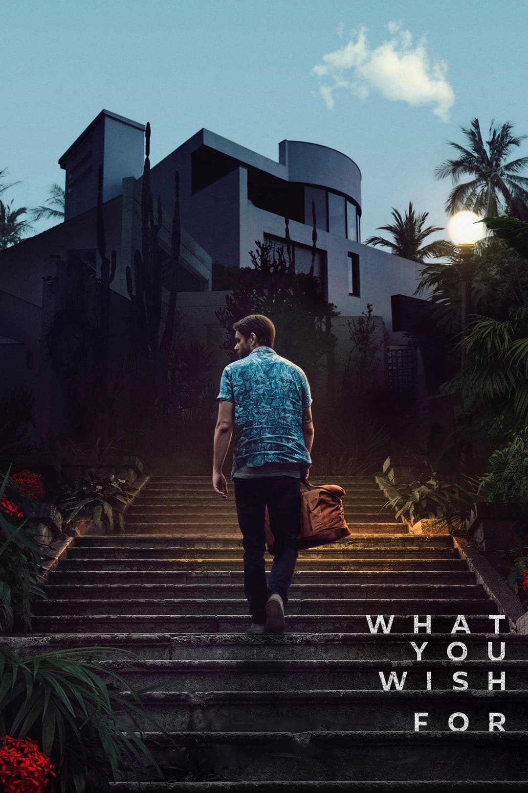 Poster di What You Wish For