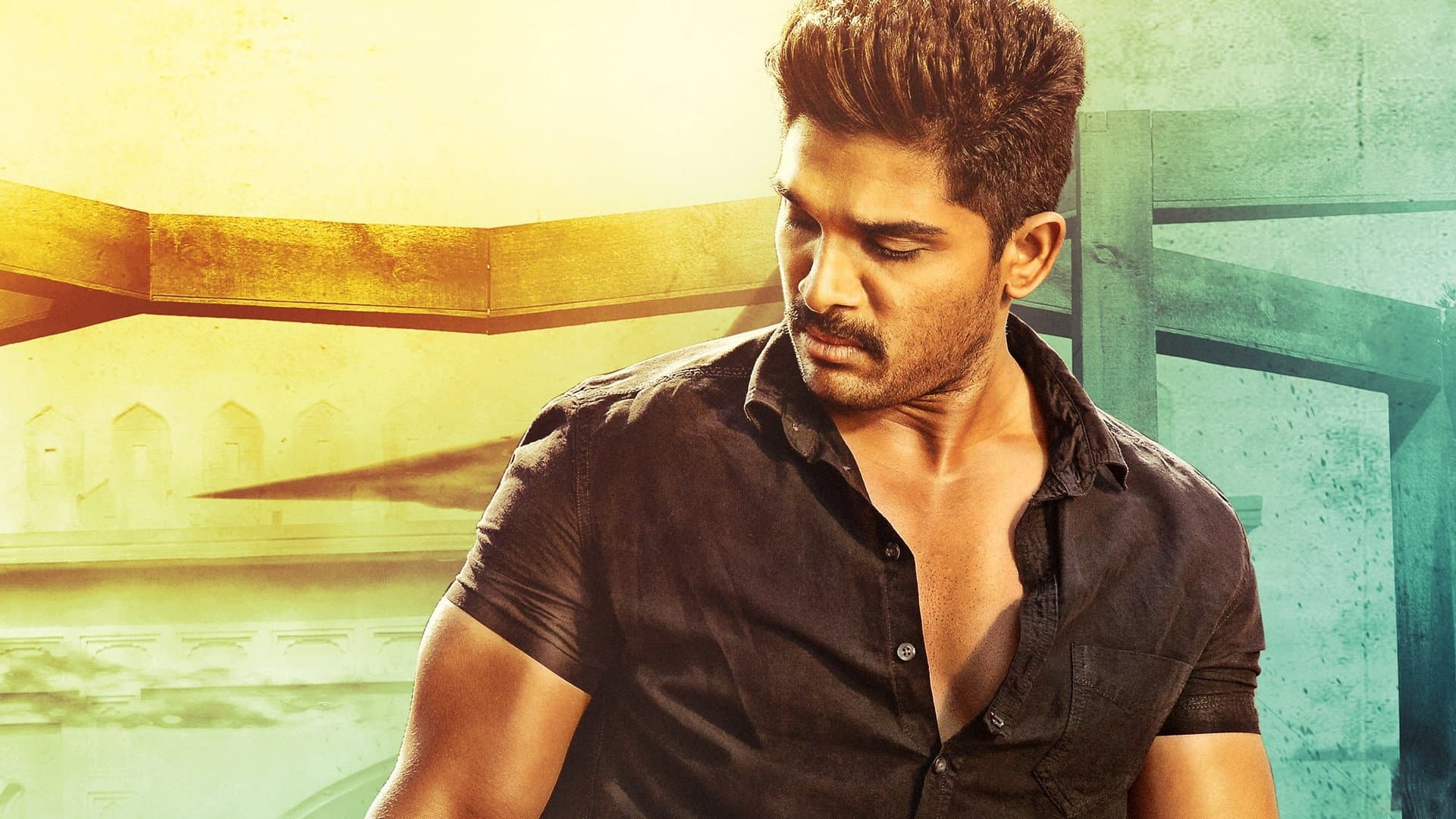 సరైనోడు - immagine