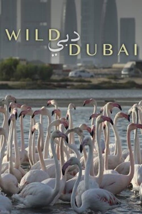Poster di Wild Dubai
