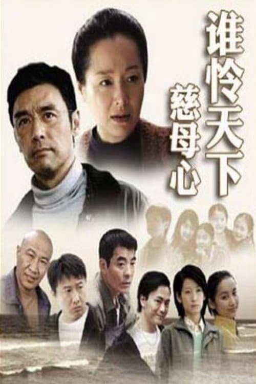 Poster di 谁怜天下慈母心