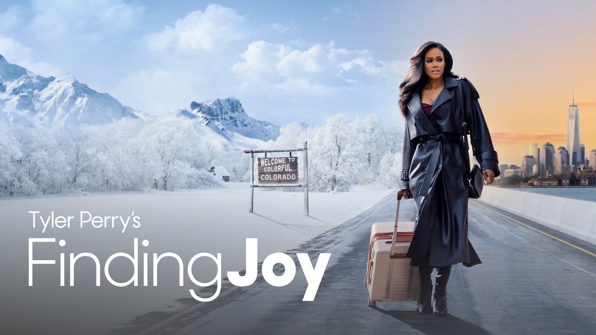 Alla ricerca di Joy - immagine