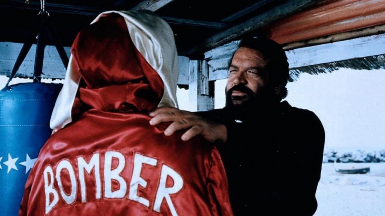 Bomber - immagine