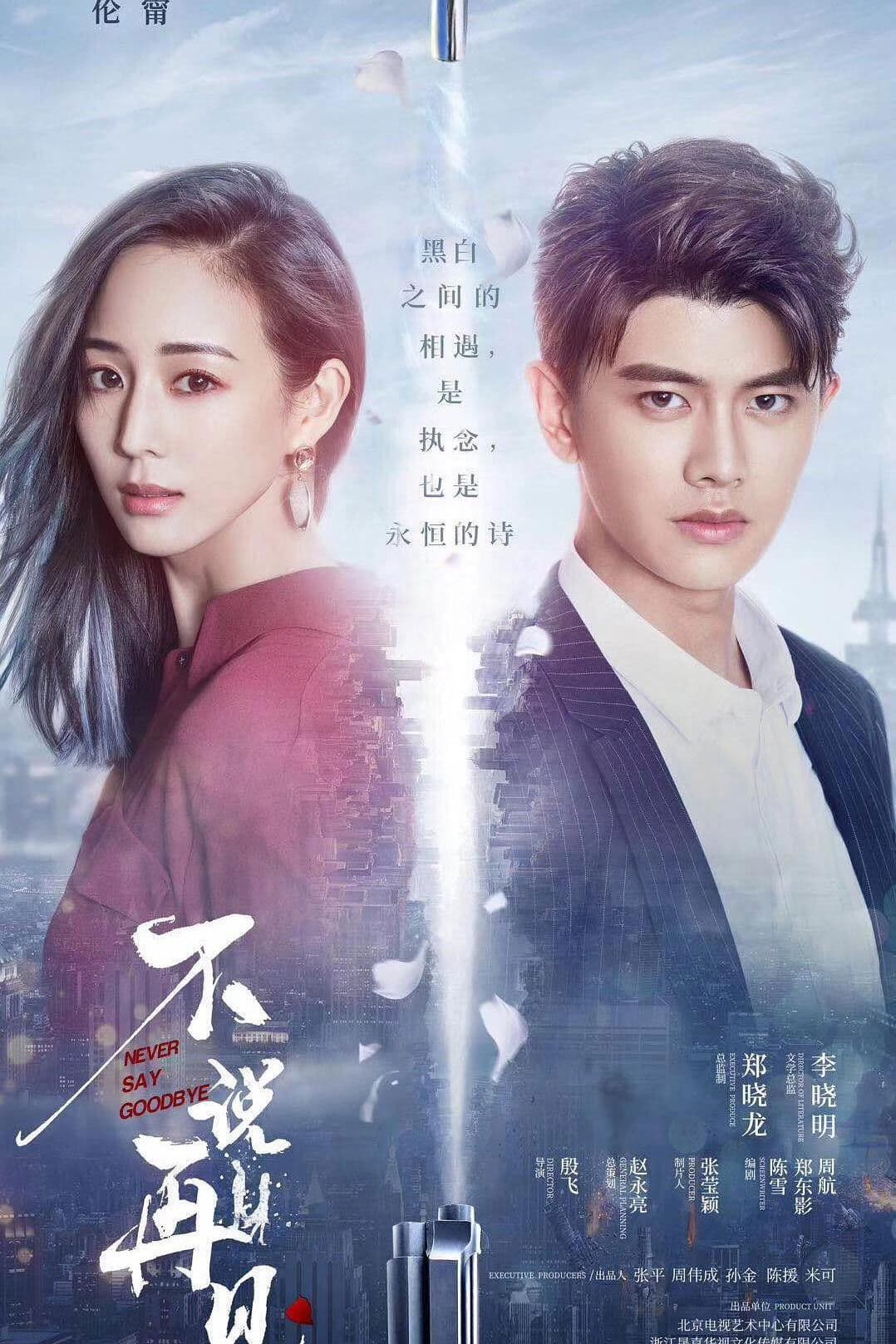 Poster di 不说再见