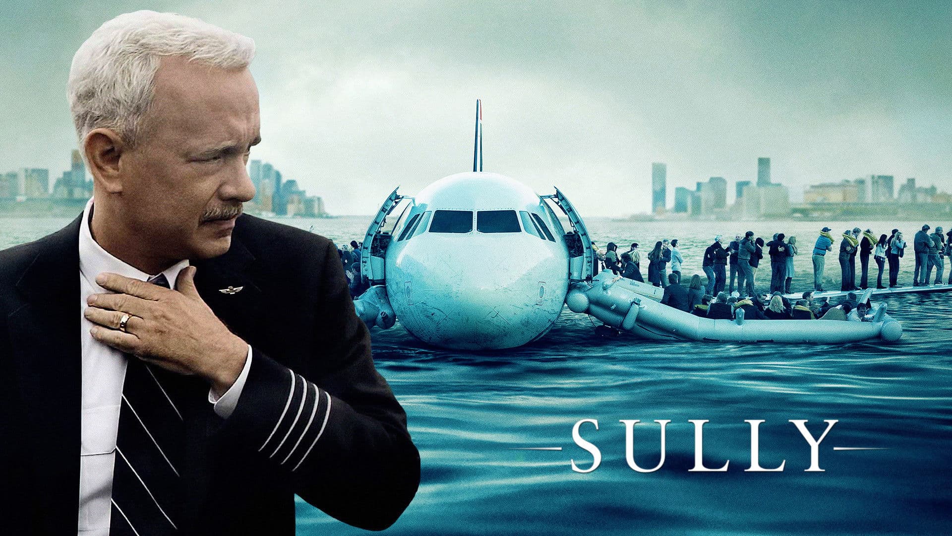 Sully - immagine