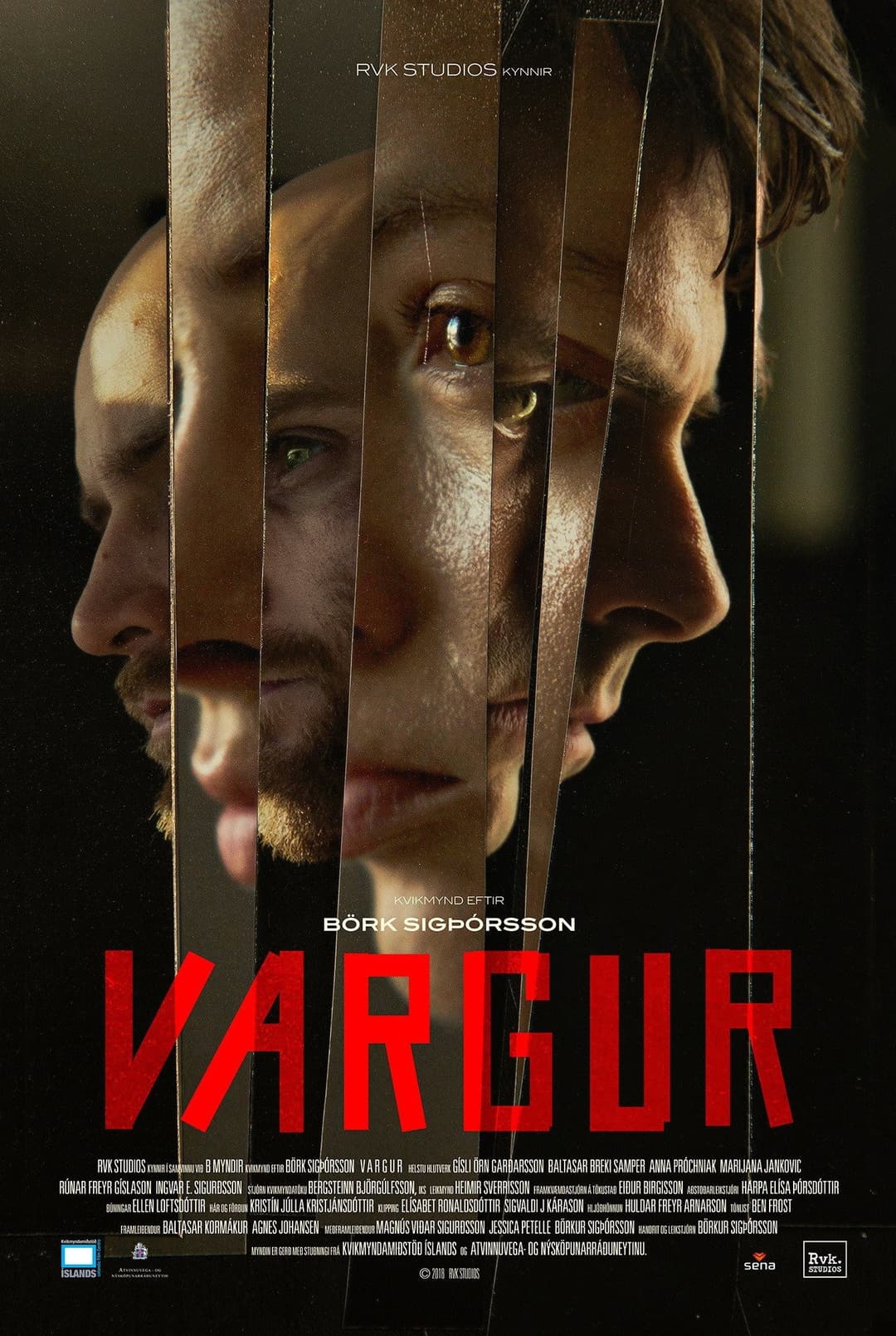 Poster di Vargur