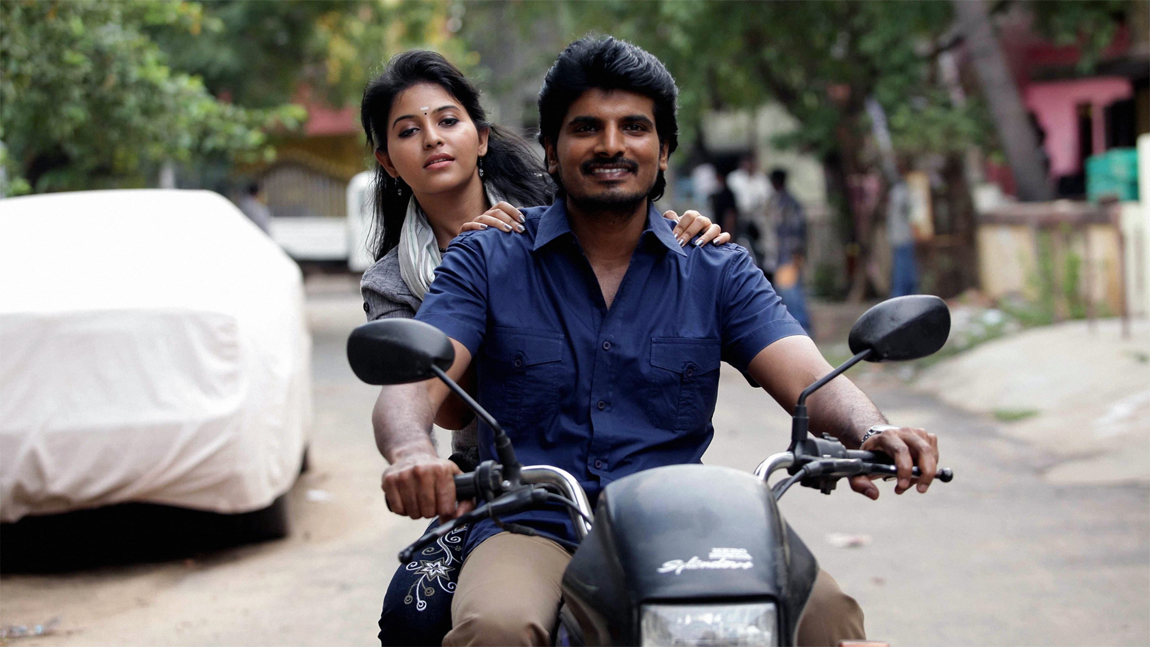 வத்திக்குச்சி - immagine