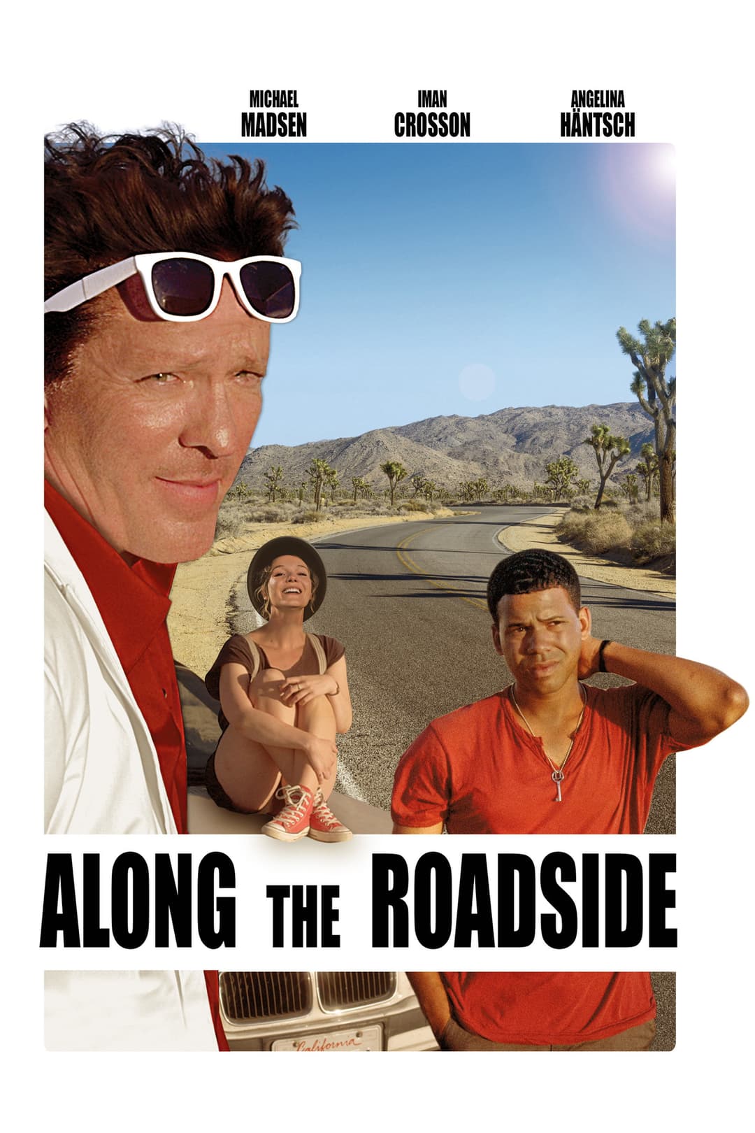 Poster di Along the Roadside