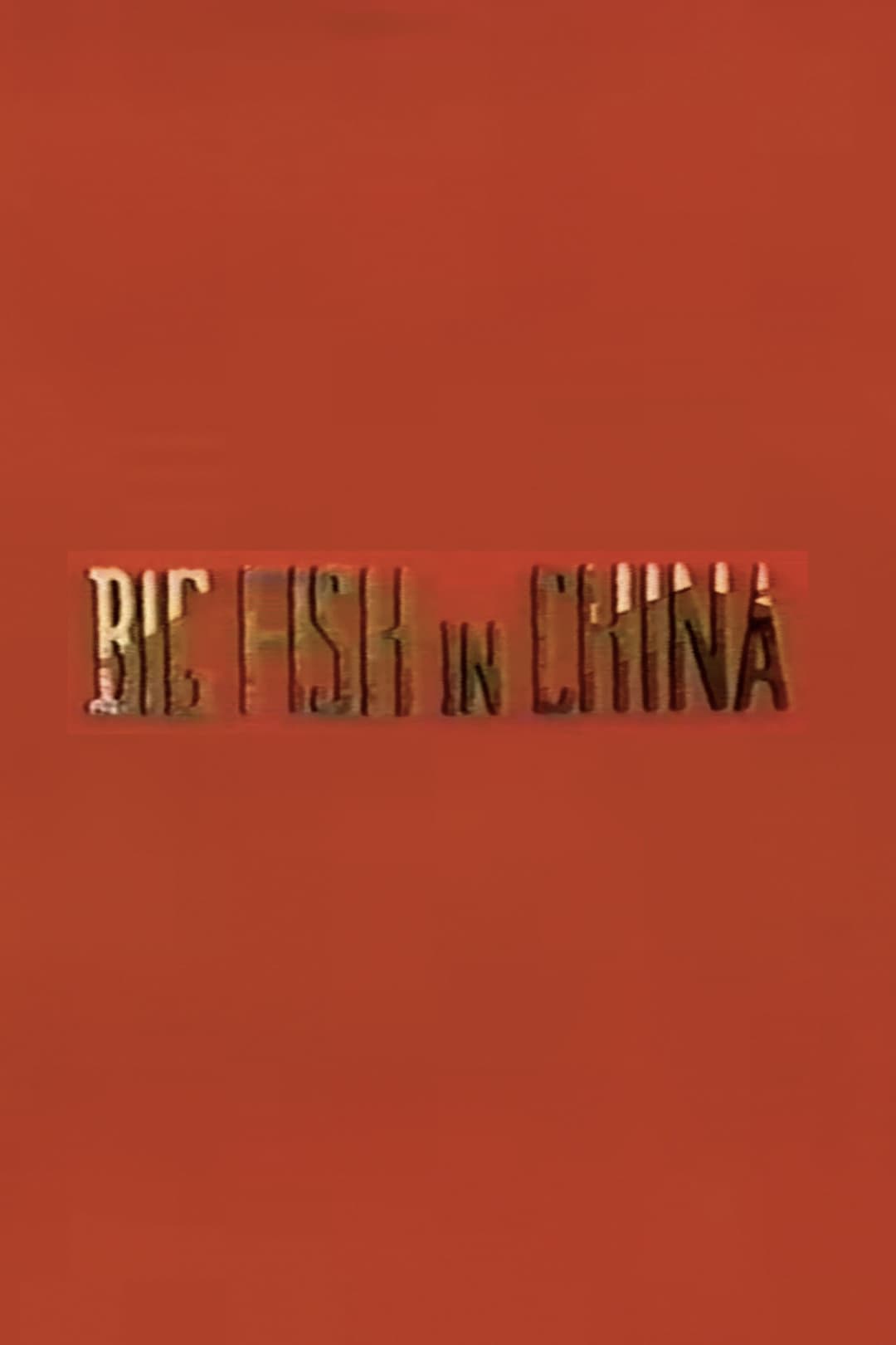 Poster di Big Fish in China