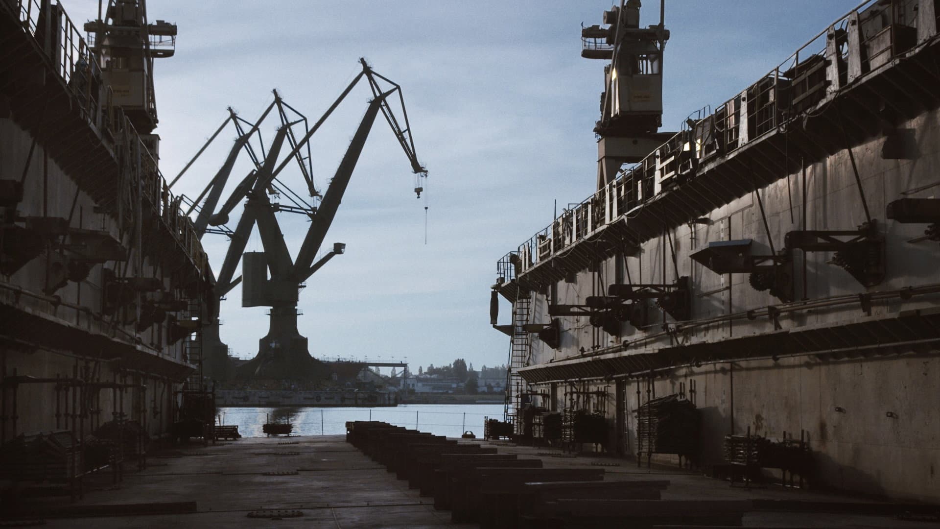 Der nackte König - 18 Fragmente über Revolution - immagine