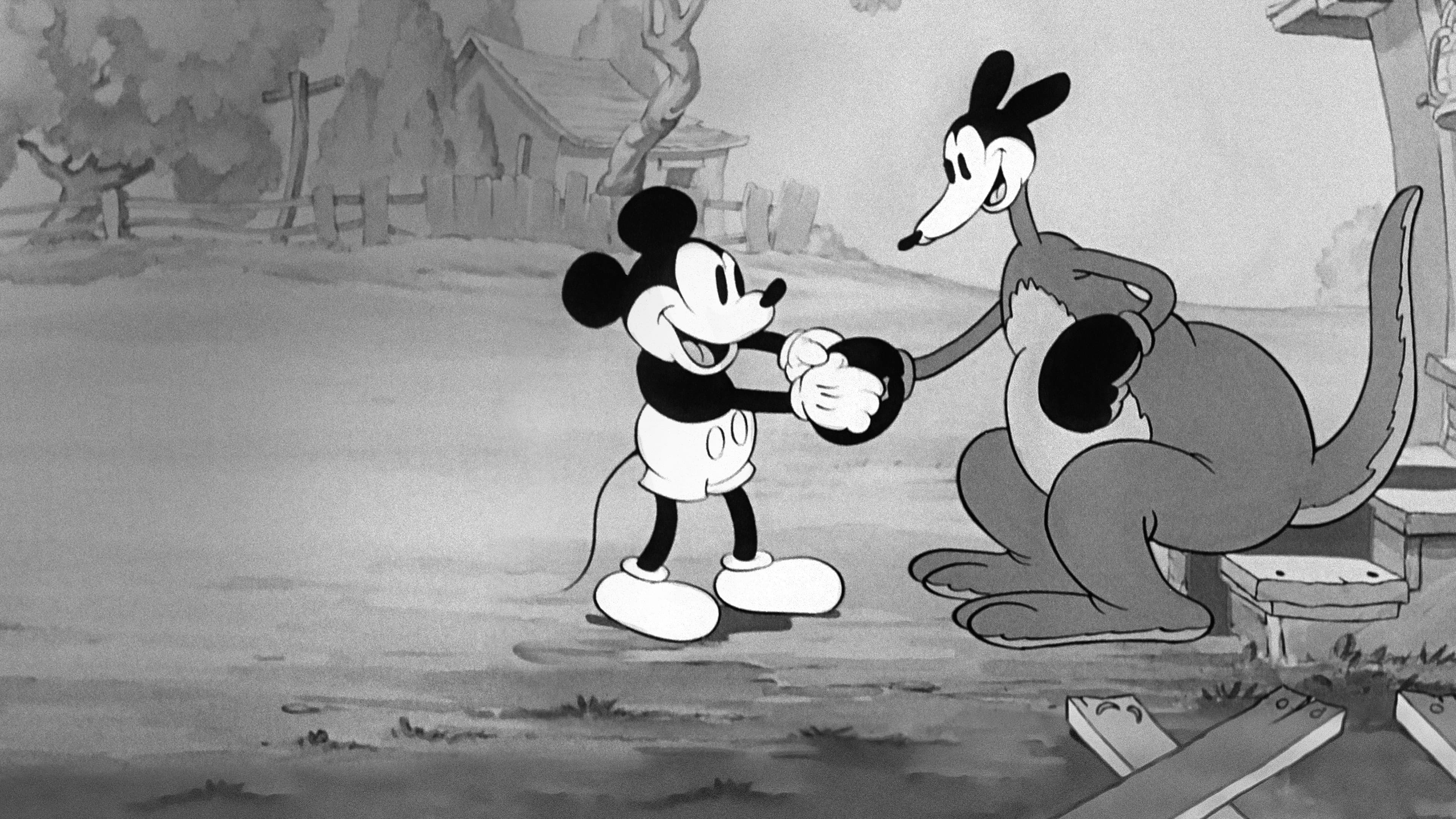 Topolino e il canguro - immagine
