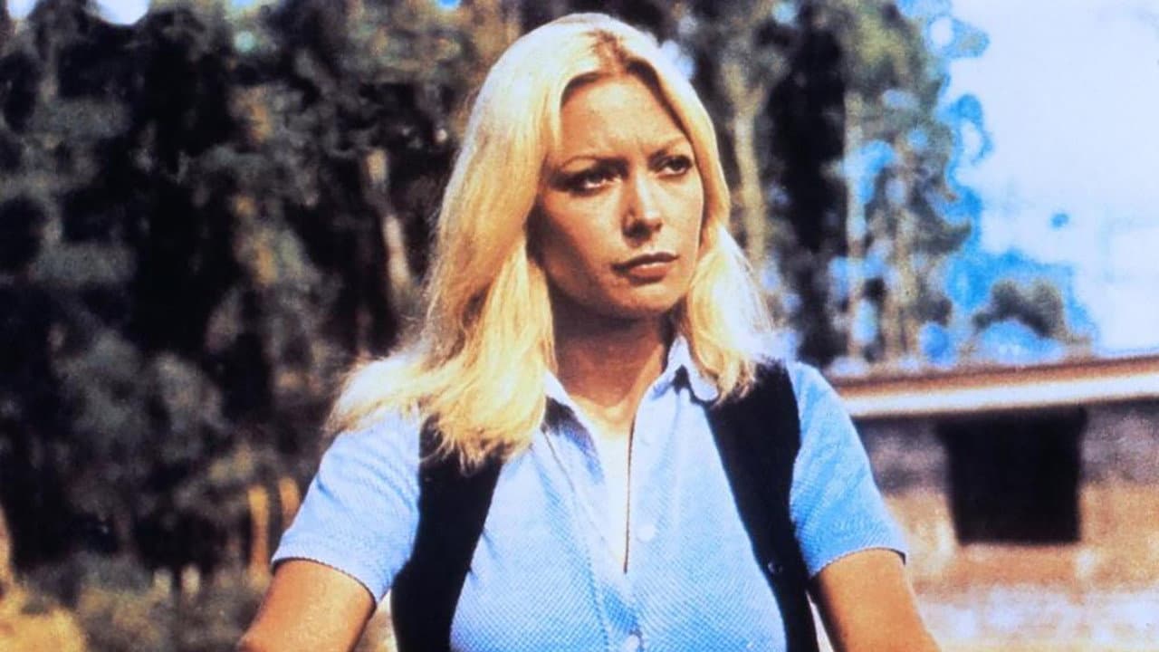 Il vero e il falso - immagine