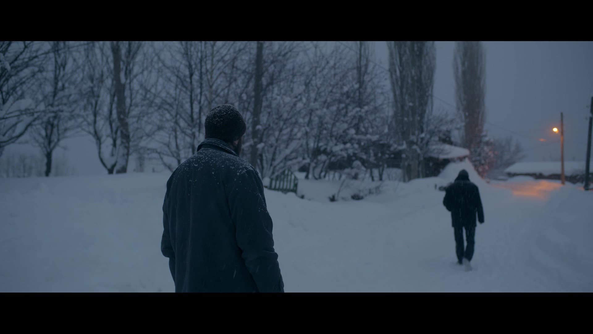 Kar ve Ayı - immagine