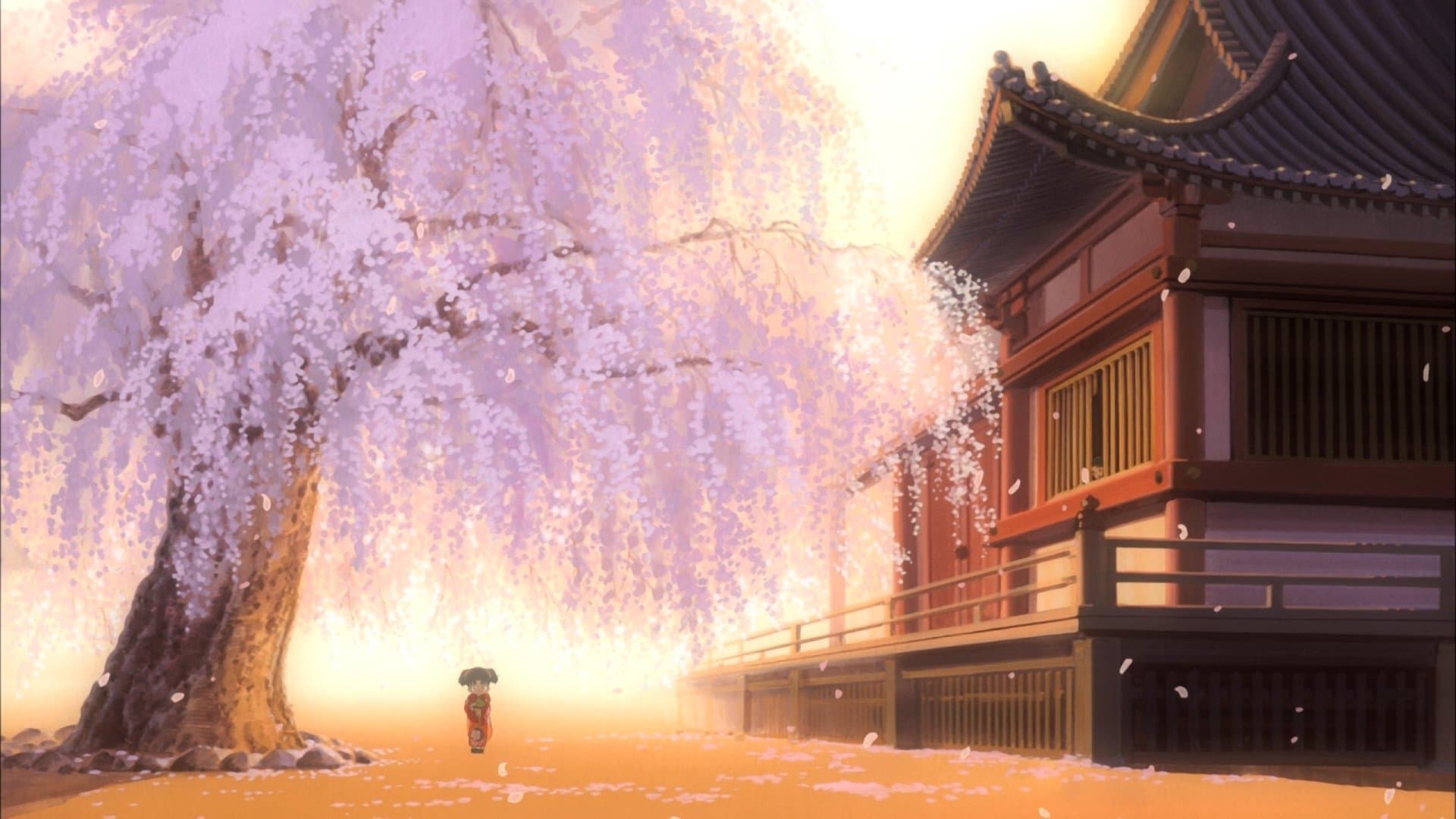 Detective Conan - La mappa del mistero - immagine